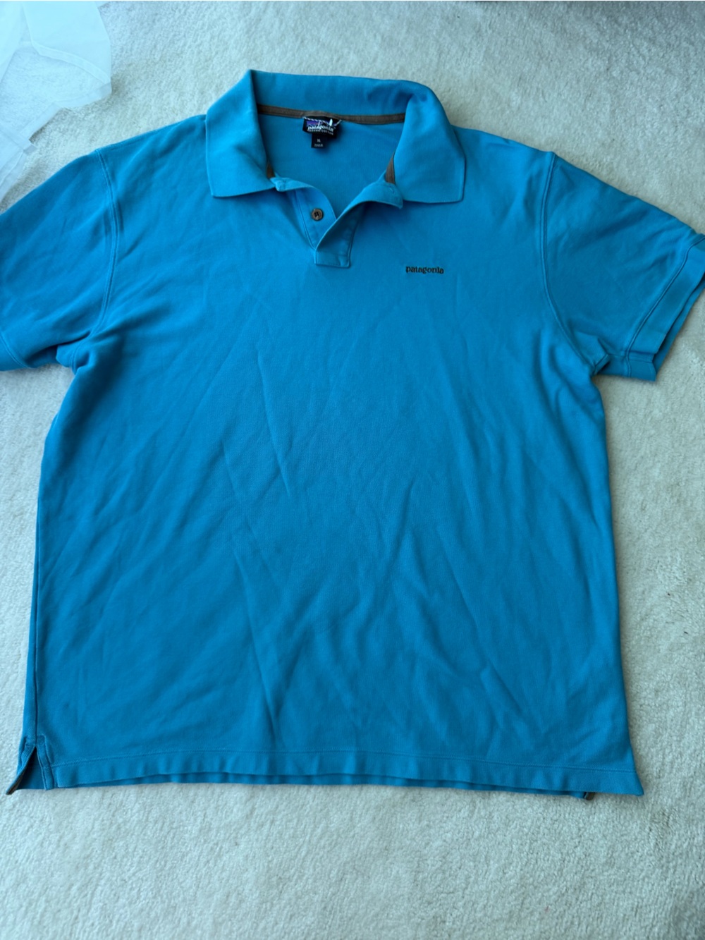 Patagonia Organic Cotton Polo Shirt in Bright Turquoise
